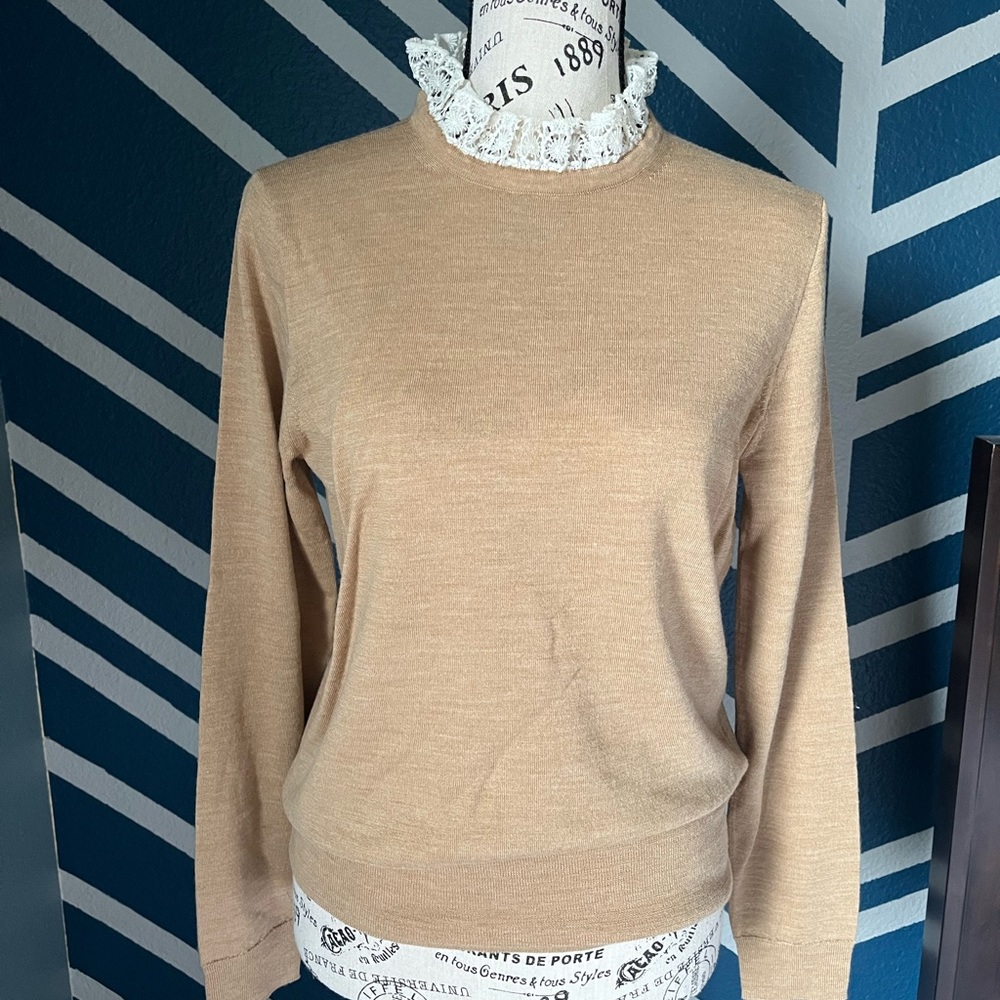 J. Crew Tippi Merino Wool Sweater with Lace Collar